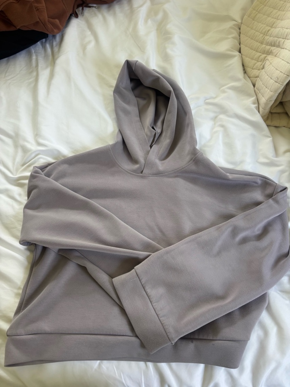 Sage Collective Cropped Hoodie – Light Purple, Buttery Soft